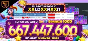 BIG WIN NEXT1221 (3)